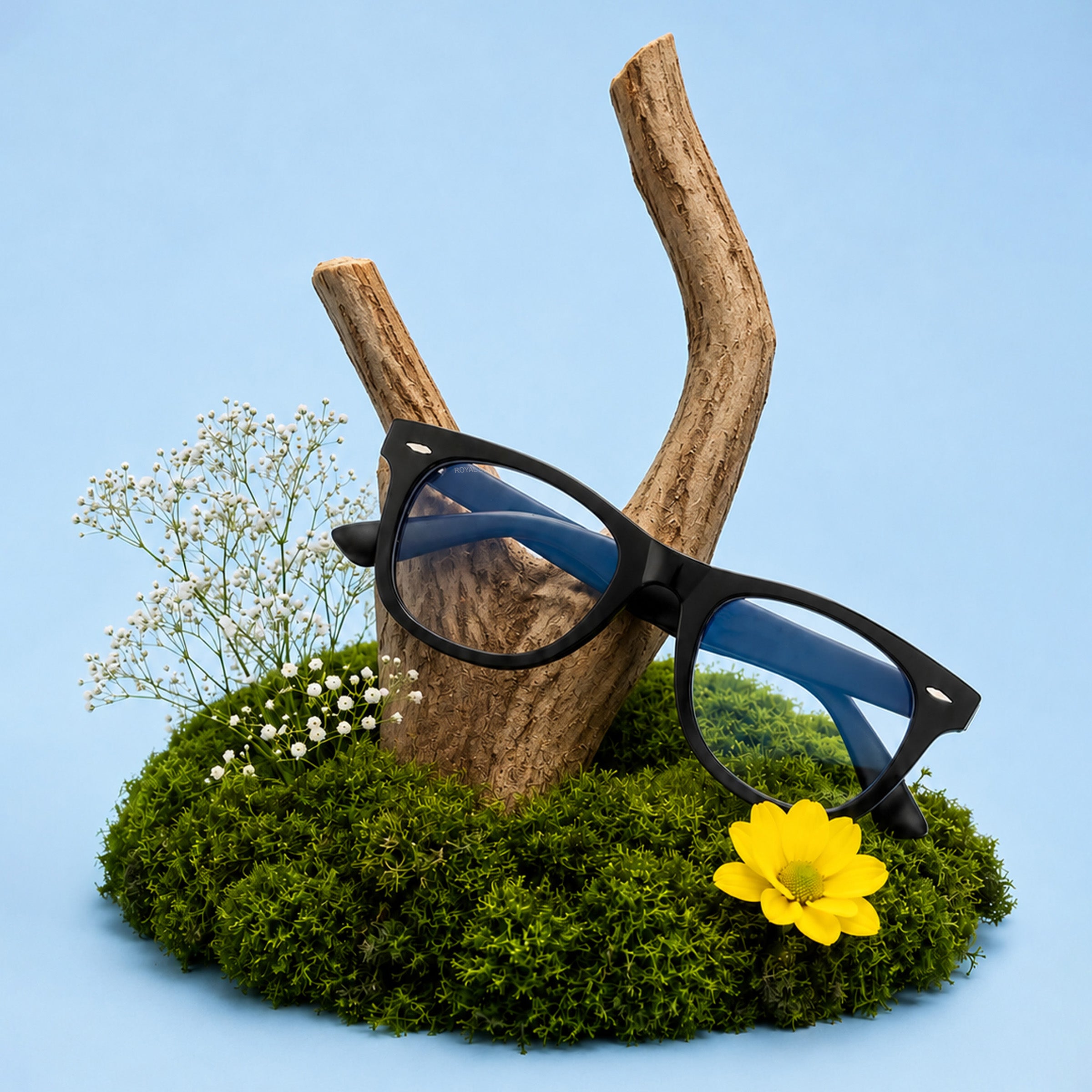ROYAL SON Computer Glasses For Eye Protection Men Women - SF-RS3030-C8